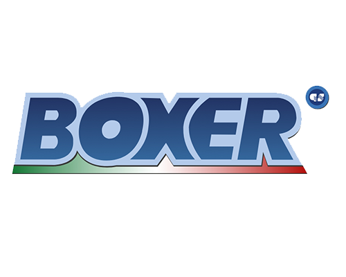 boxer